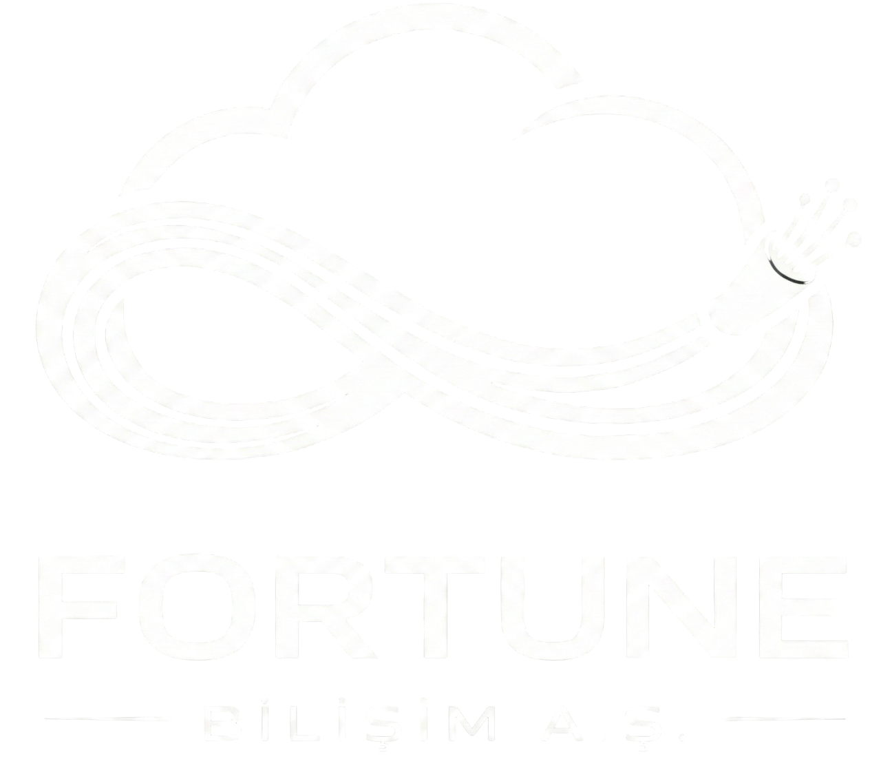 Fortune Bilişim A.Ş.